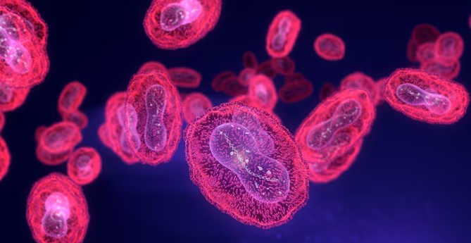 OMS identifica nova recombinação do vírus da mpox após casos no Reino Unido e na Índia
